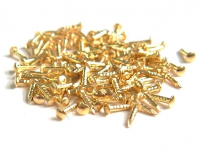 (T-007) Track Pins in Brass
